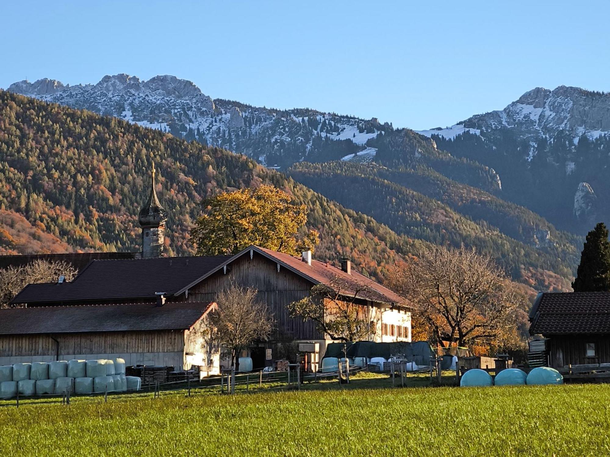 基姆高的阿绍Bauernhof Geigerhof别墅 外观 照片